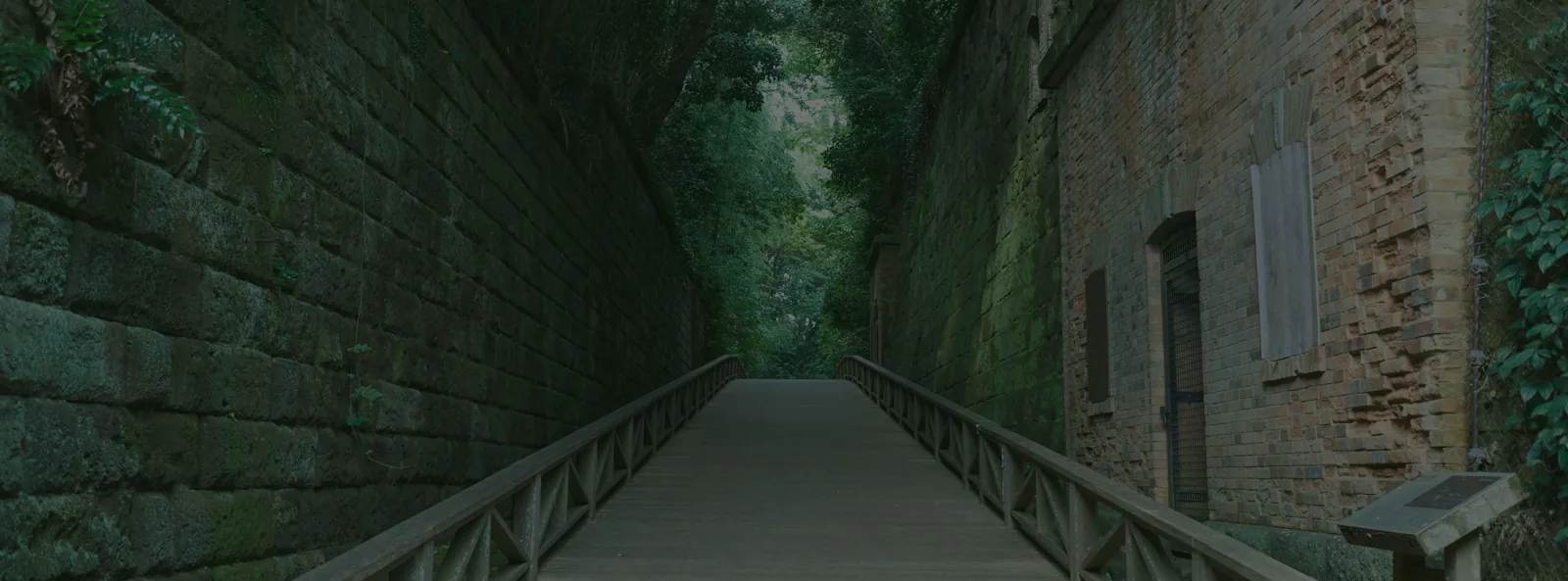 猿岛