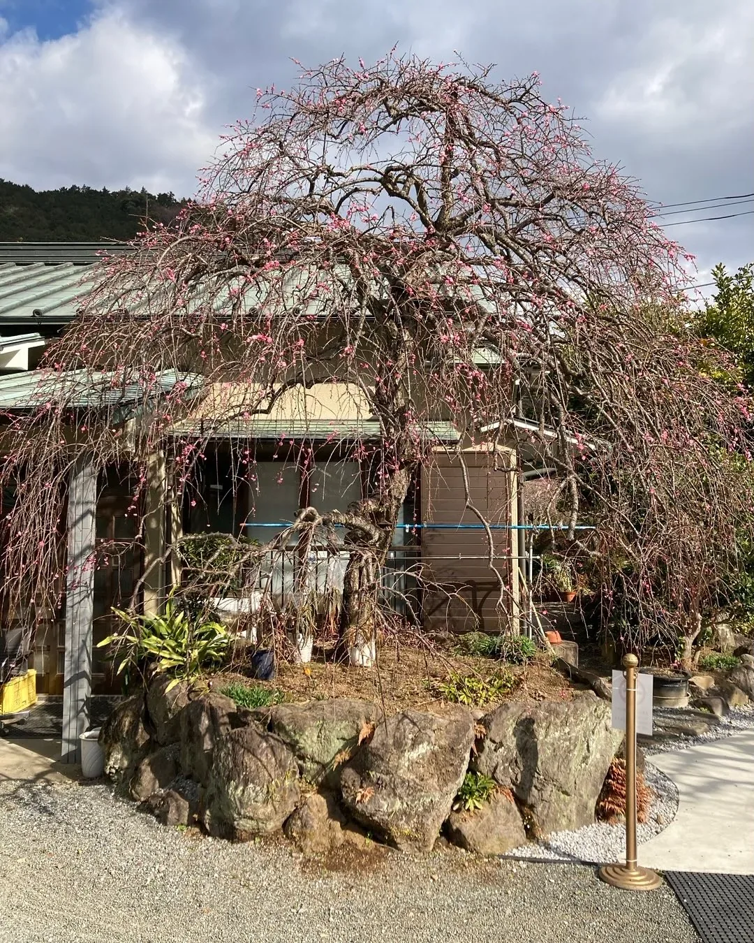 箱根寄木細工 本間木工所／本間寄木美術館 · 官方影像