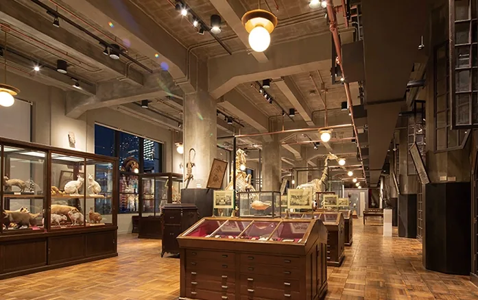 JP Tower Museum INTERMEDIATHEQUE