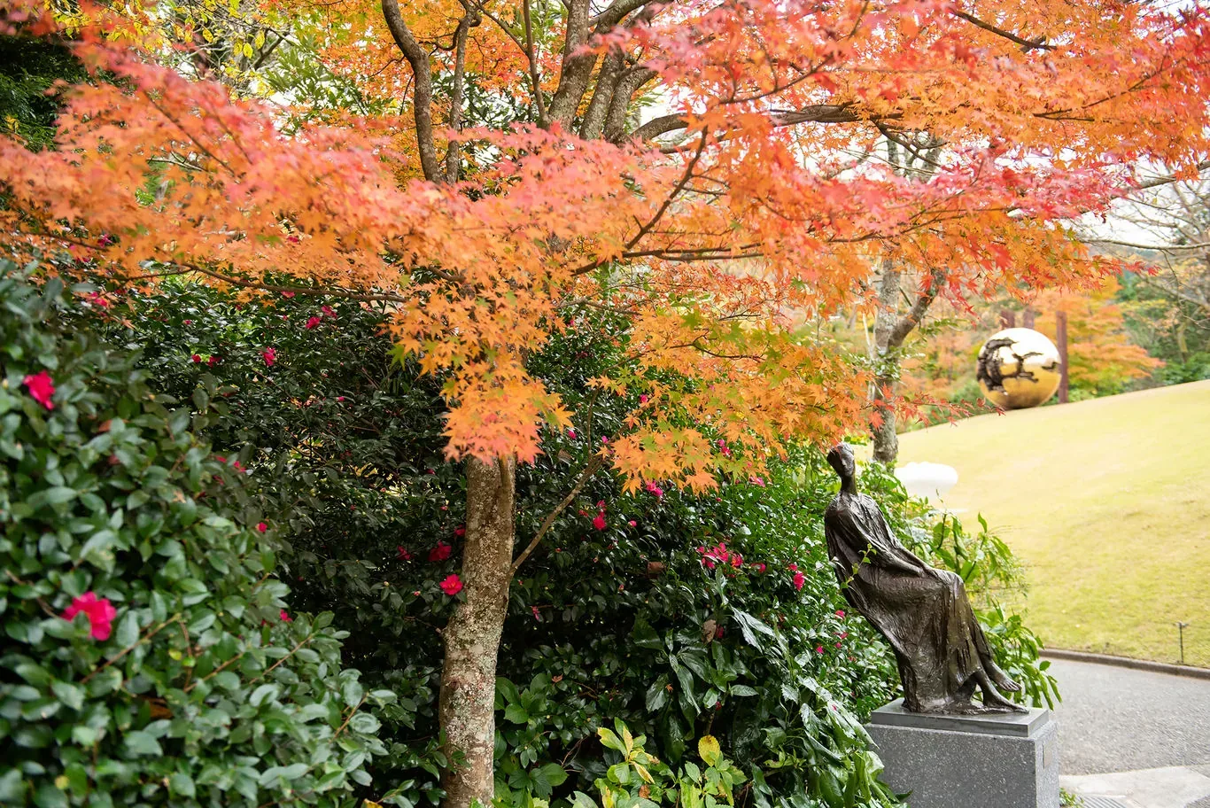 彫刻の森美術館 · 官方影像