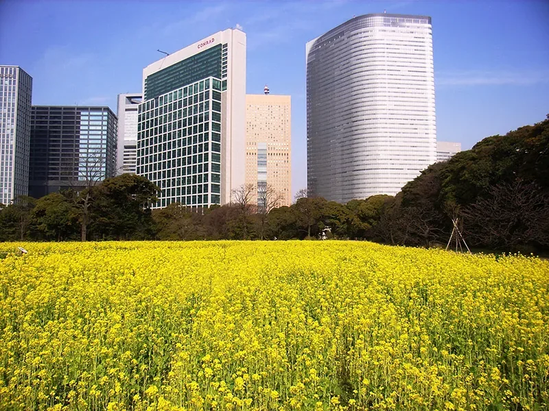 浜離宮恩賜庭園 · 官方影像