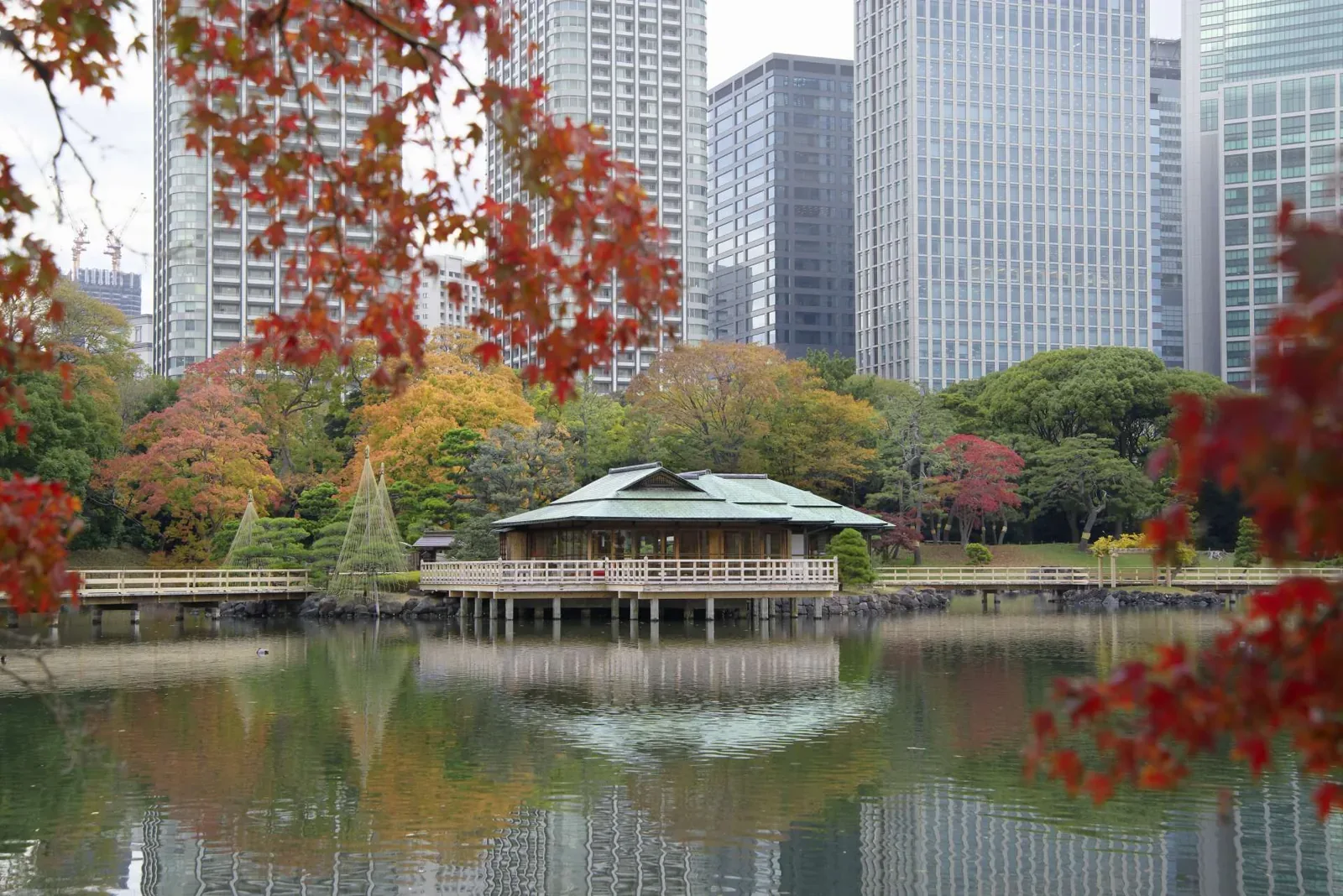 浜離宮恩賜庭園 · 官方影像