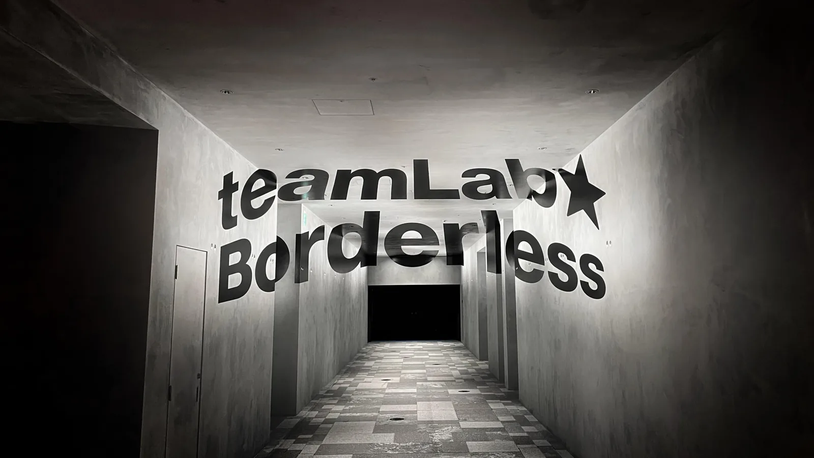 teamLab Borderless