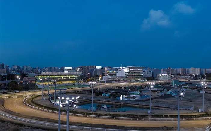 大井競馬場（東京シティ競馬）