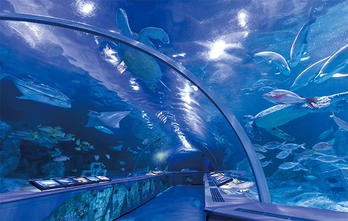しながわ水族館