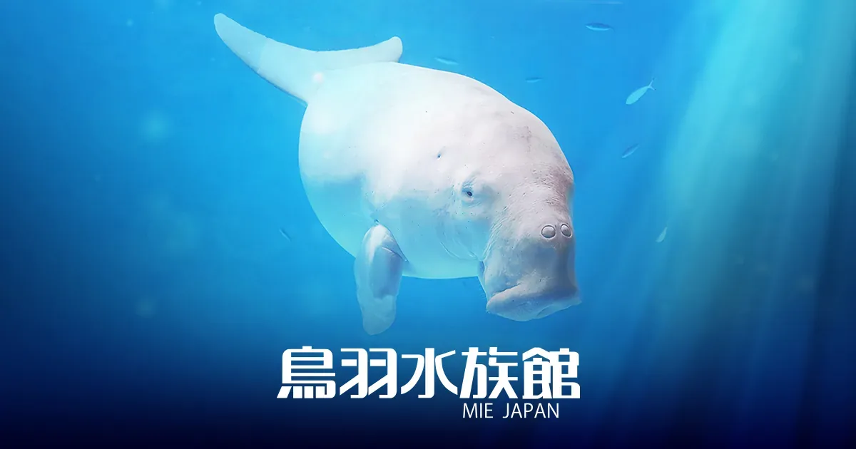 鳥羽水族館 · 官方影像