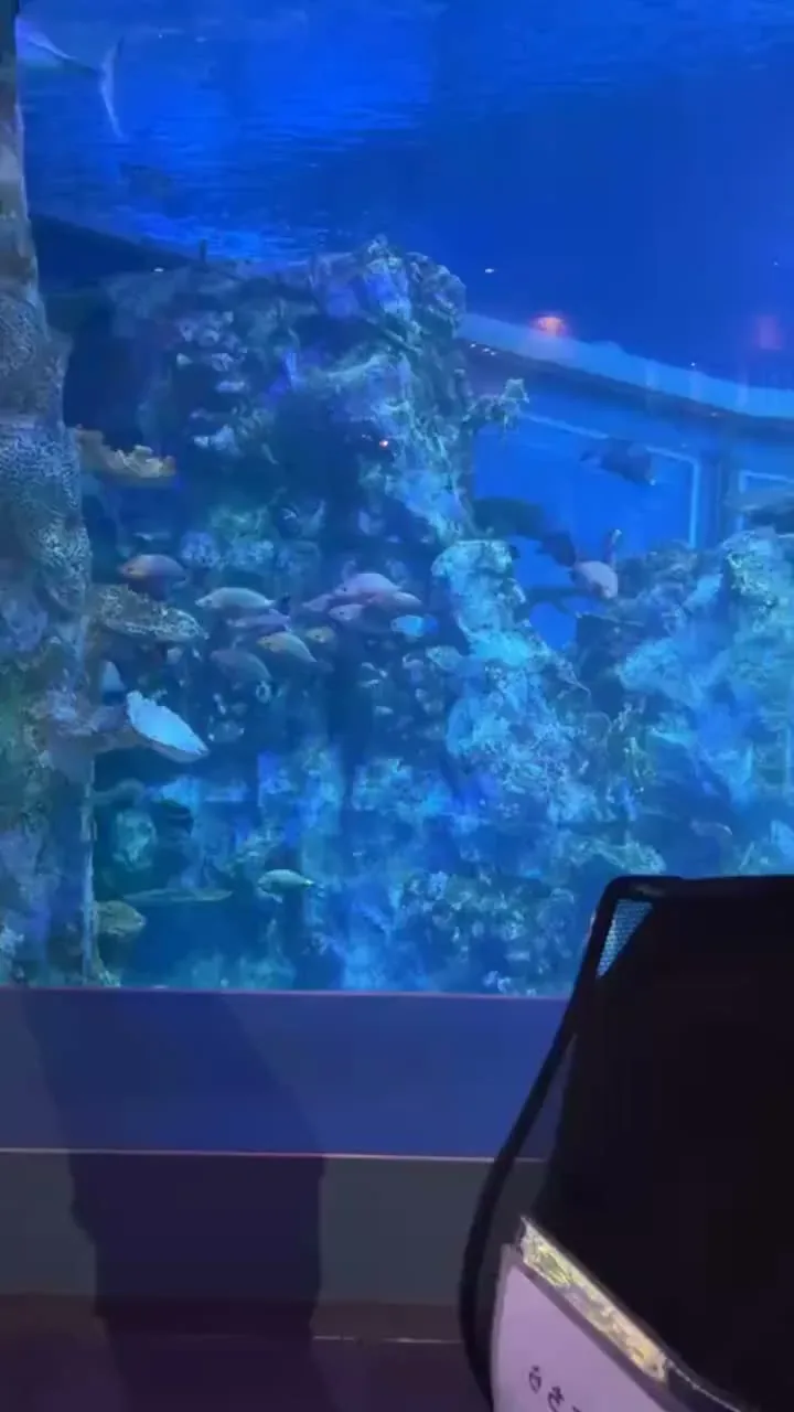 鳥羽水族館 · 官方影像