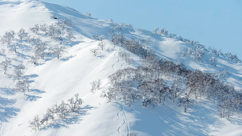 北海道バックカントリークラブ ヘリスキー · 官方影像