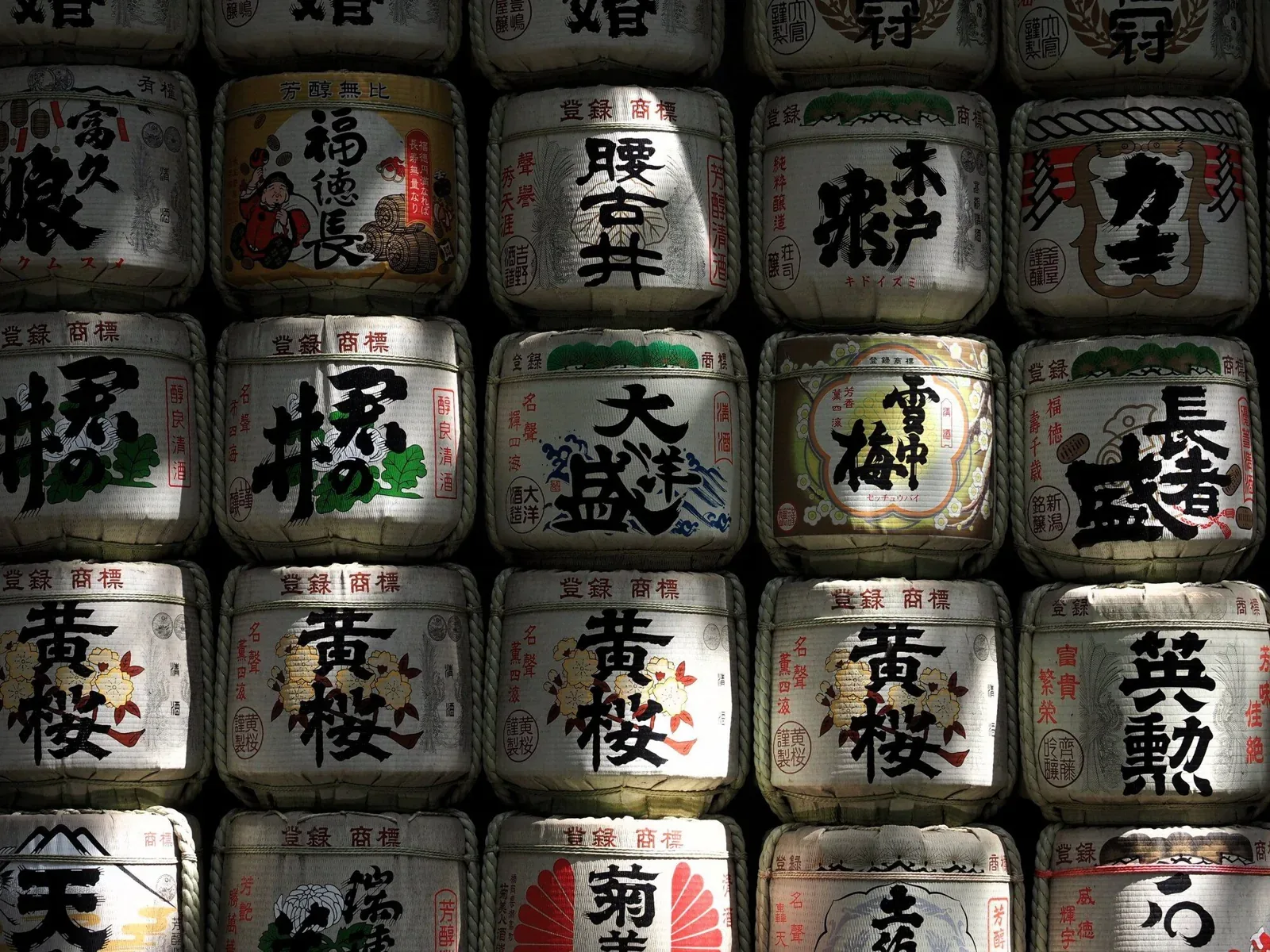 東京の地酒 講義・テイスティング(Business Events Tokyo) · JNTO/JCB官方影像