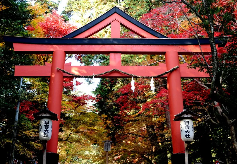 日吉大社 特別参拝・庖丁式拝観