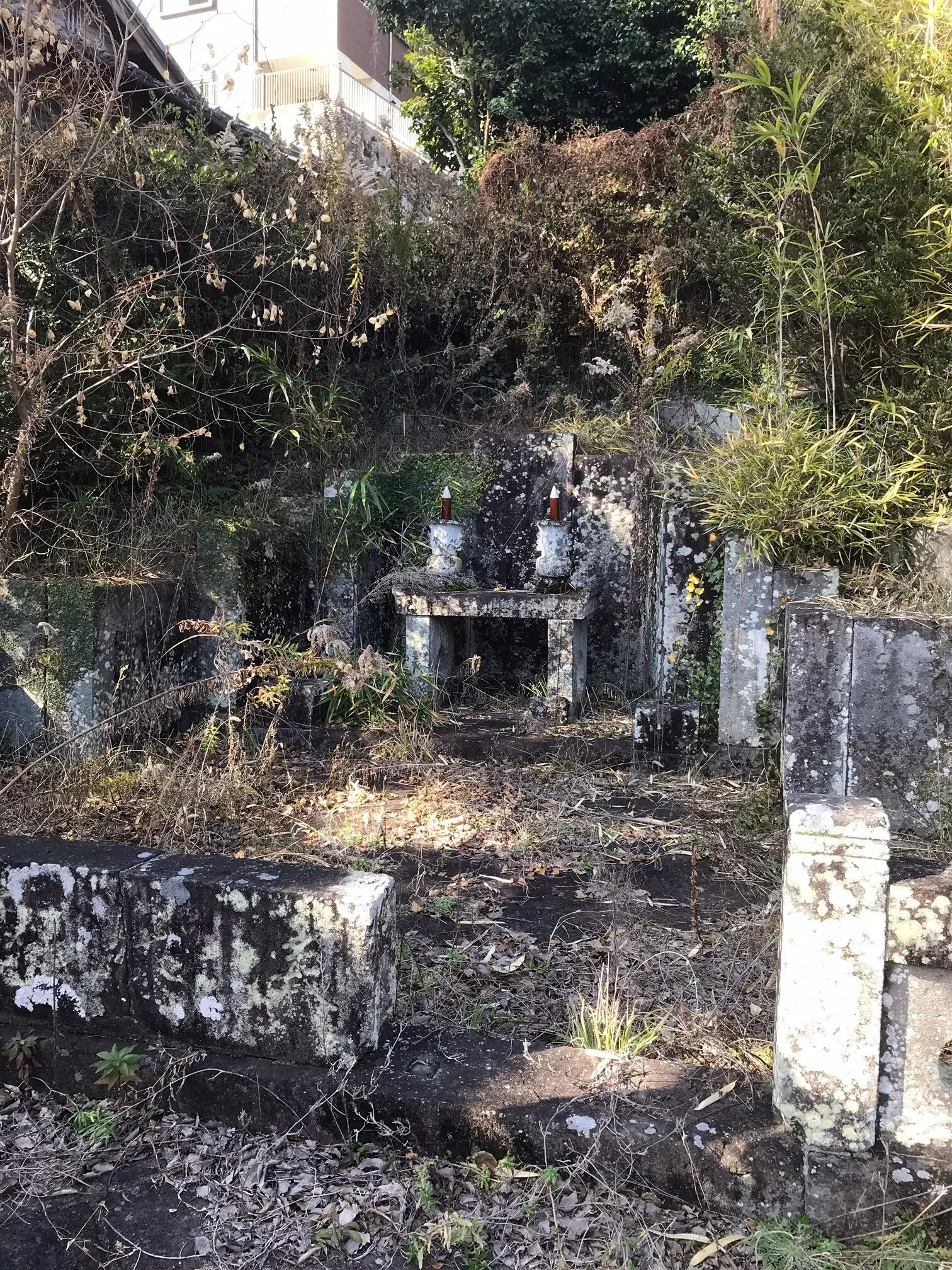 出島 · 官方影像