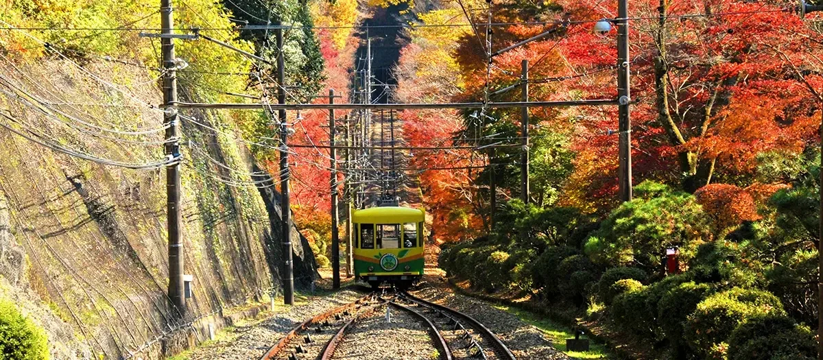 高尾山 エコウォーキングツアー