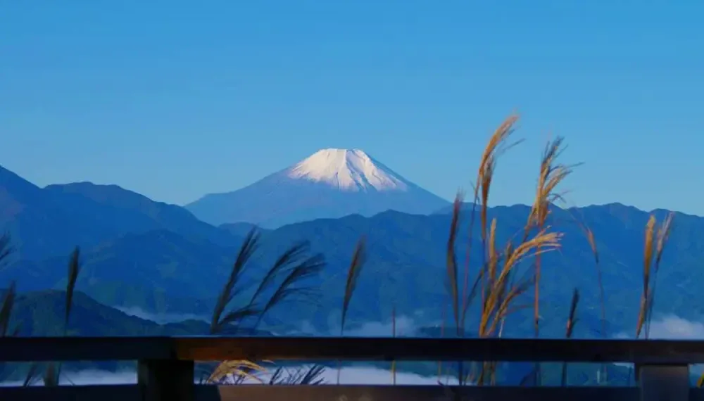 高尾山 エコウォーキングツアー · 官方影像
