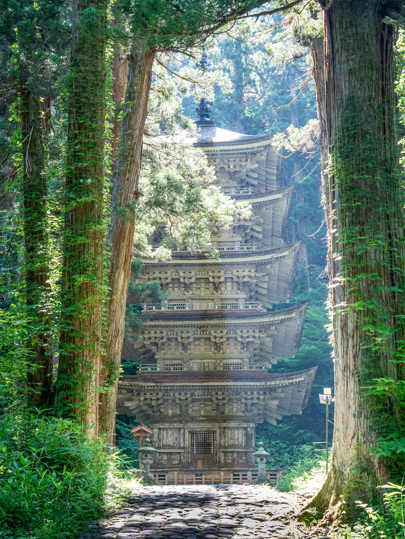 出羽三山・羽黒山(参拝) · 官方影像
