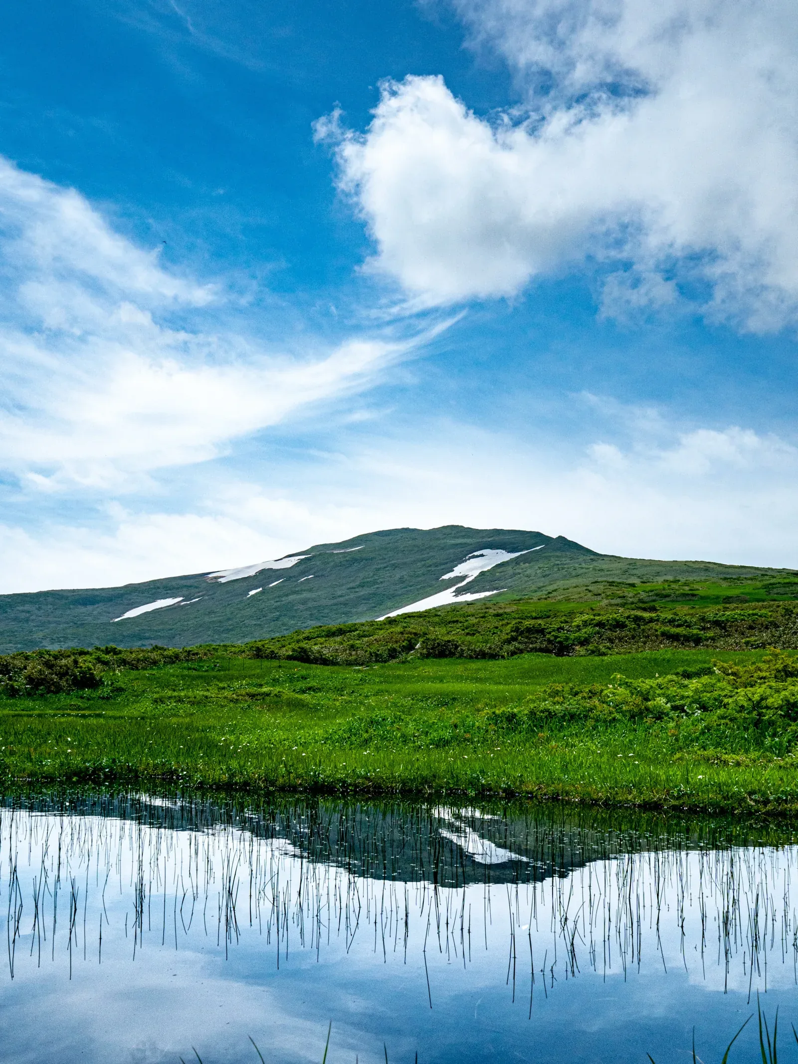 出羽三山・羽黒山(参拝) · 官方影像