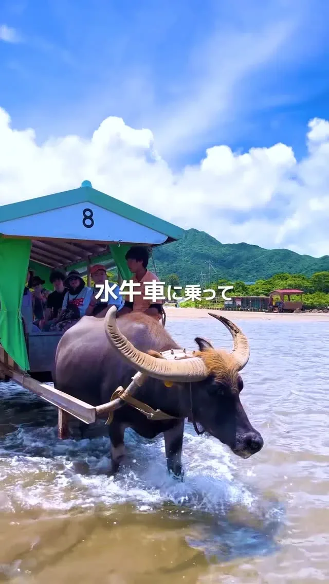 MIYAKO ADVENTURE PiPi · 官方影像
