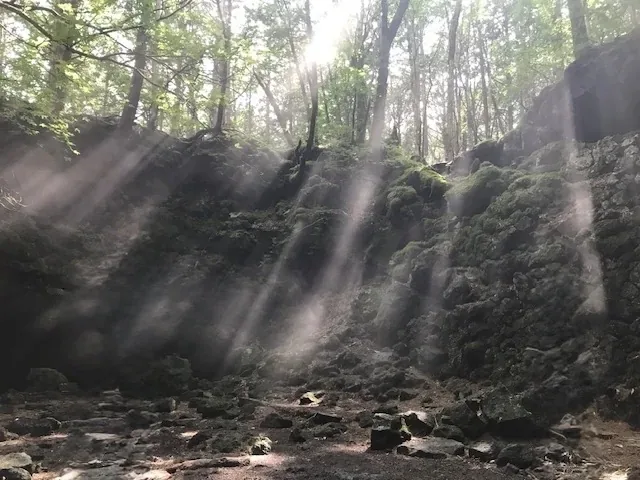 富士エコツアーサービス(青木ヶ原樹海・溶岩洞窟) · 官方影像