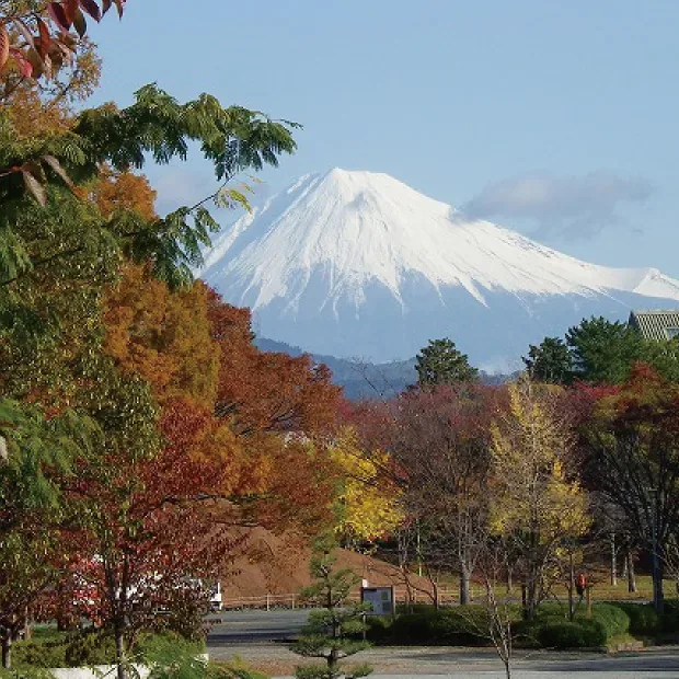 紅葉山庭園 抹茶書道®(Matcha Calligraphy) · 官方影像