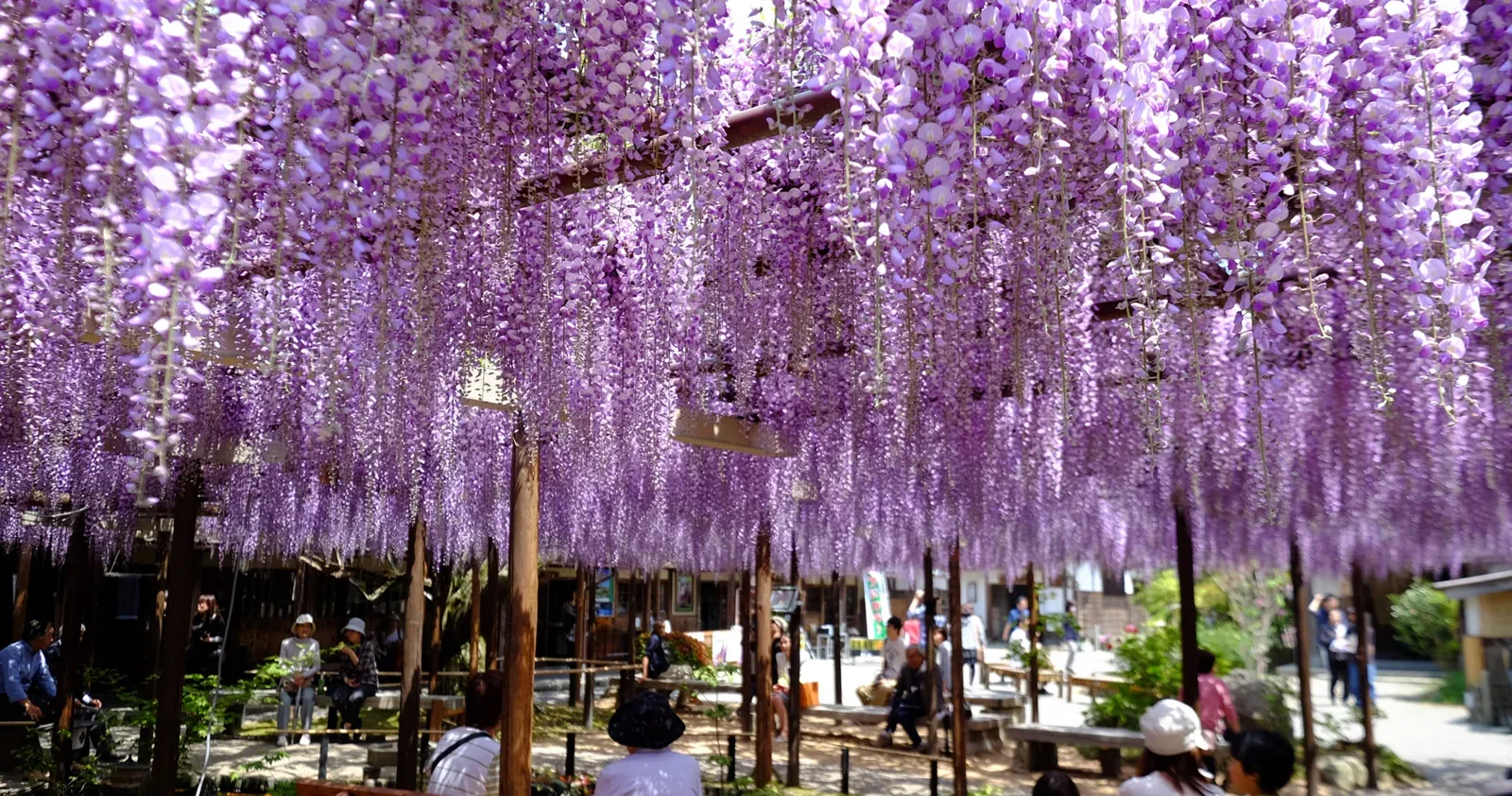 北方文化博物館(伊藤邸)