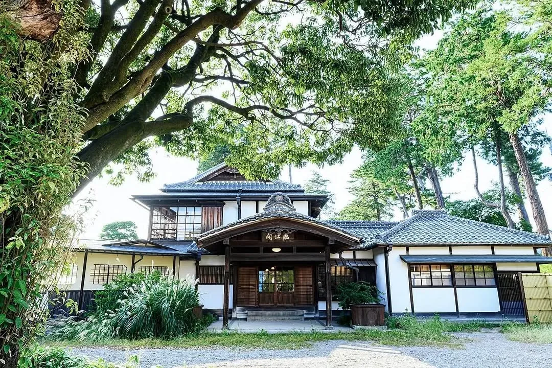 臨江閣 · 官方影像