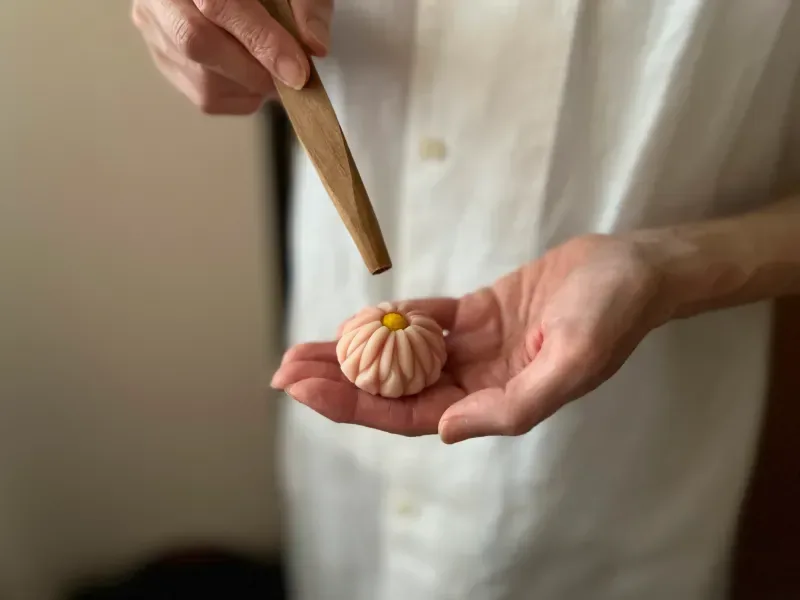 和菓子いっしょ(宮﨑泰江) · 官方影像
