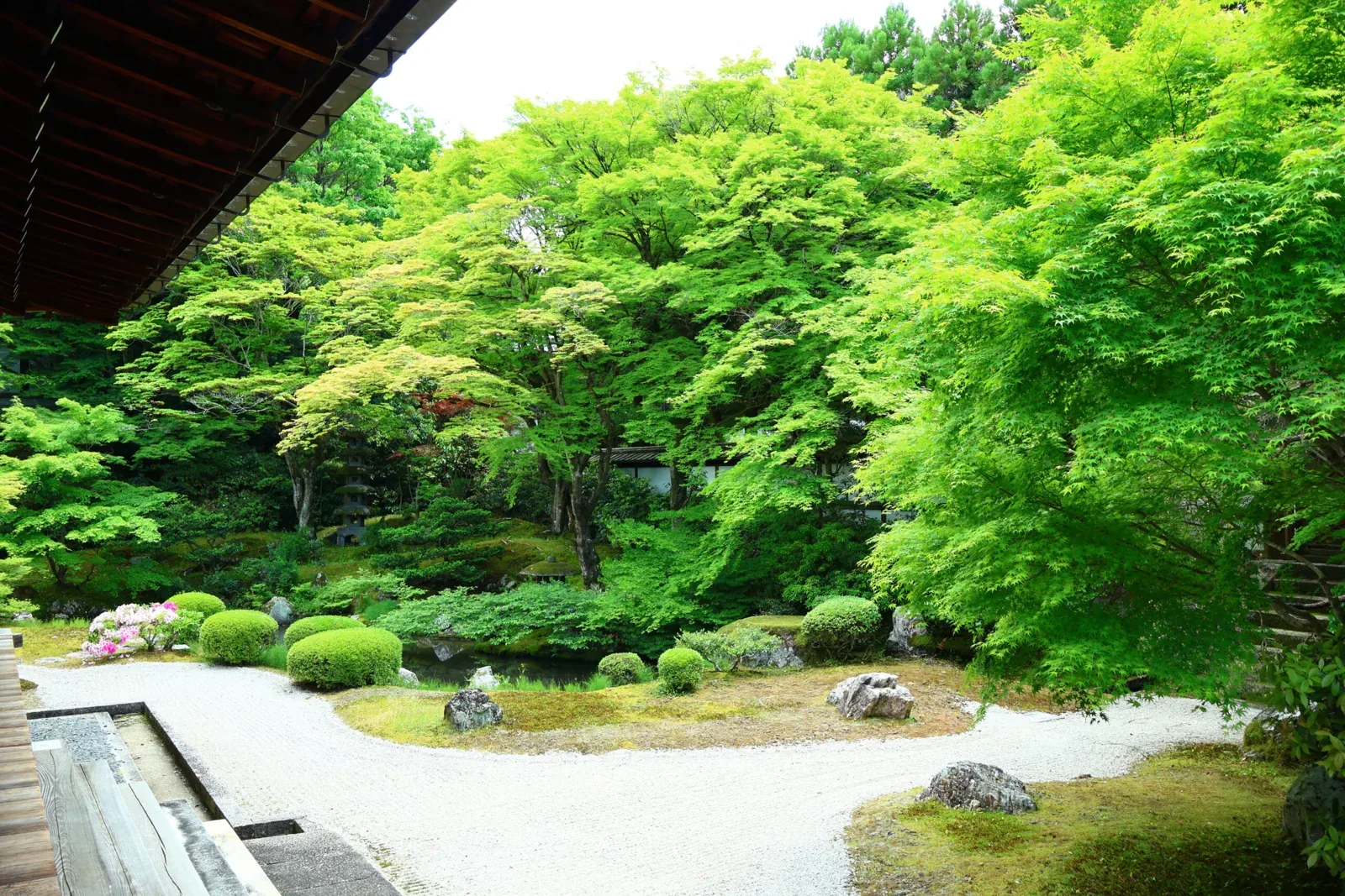 泉涌寺 泉山御流香道 · 官方影像