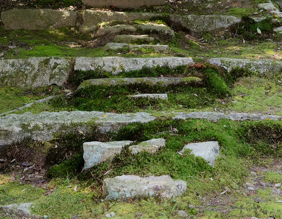 泉涌寺 泉山御流香道 · 官方影像