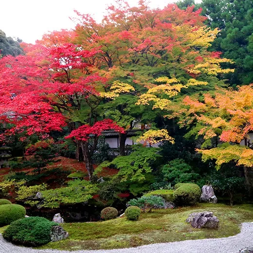 泉涌寺 泉山御流香道 · 官方影像