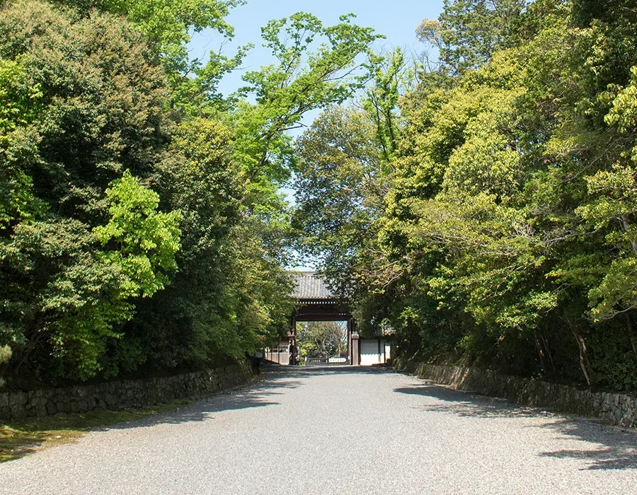 泉涌寺 泉山御流香道 · 官方影像