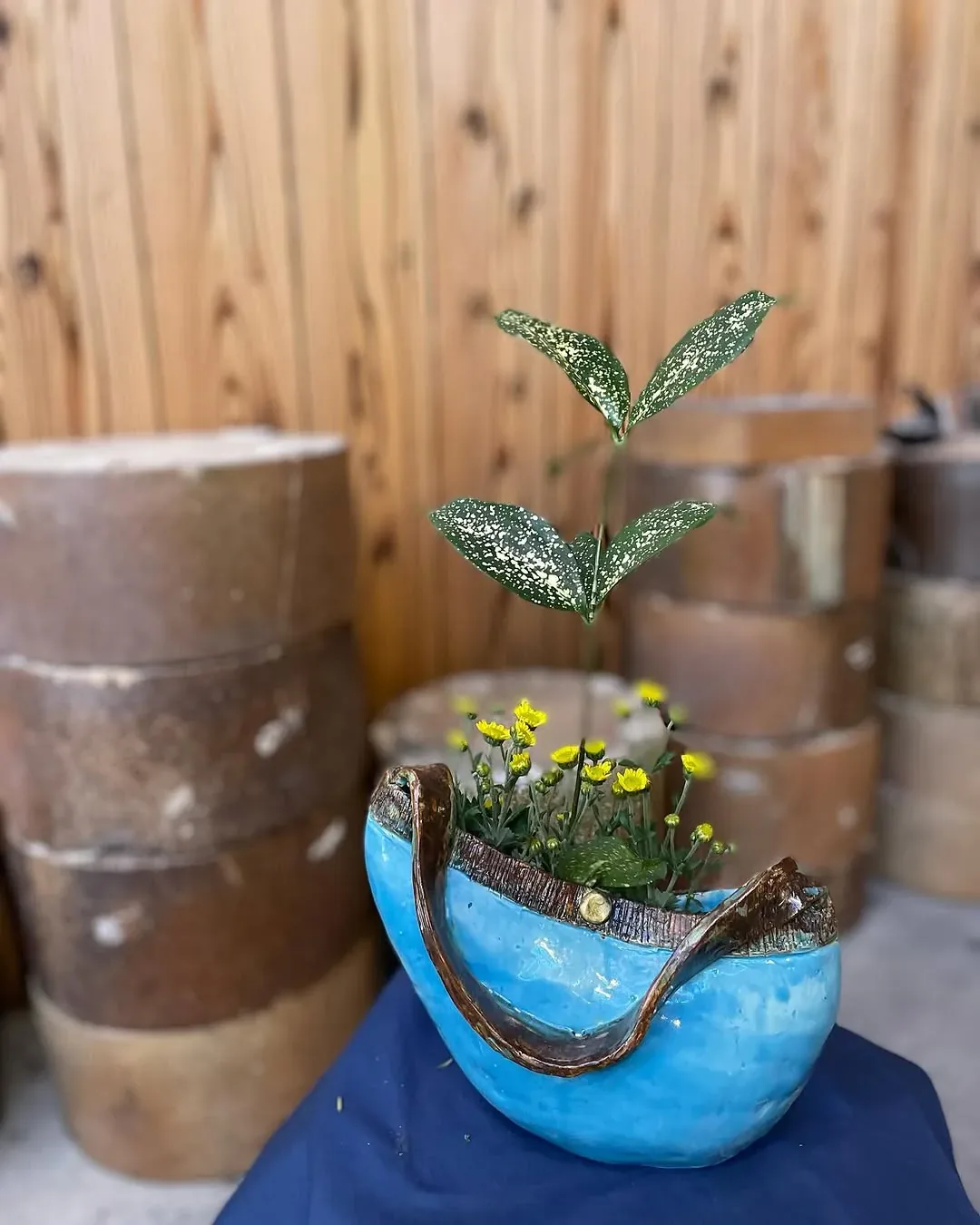 藤平陶芸(清水焼) · 官方影像