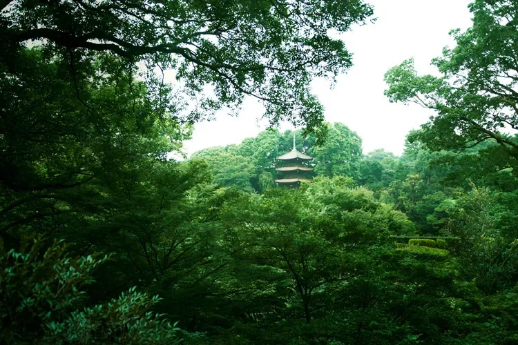 ホテル椿山荘東京 · 官网影像