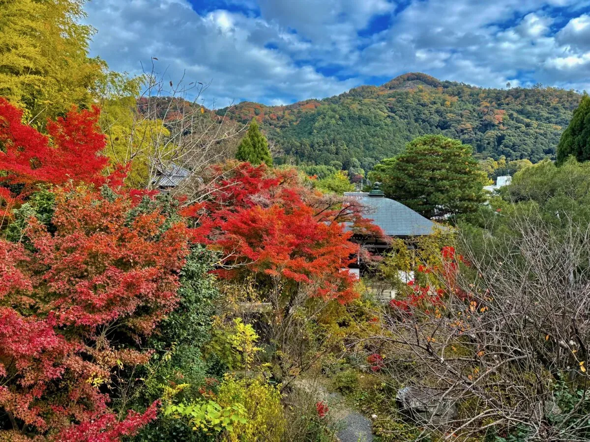 白沙村荘 橋本関雪記念館 · 官网影像