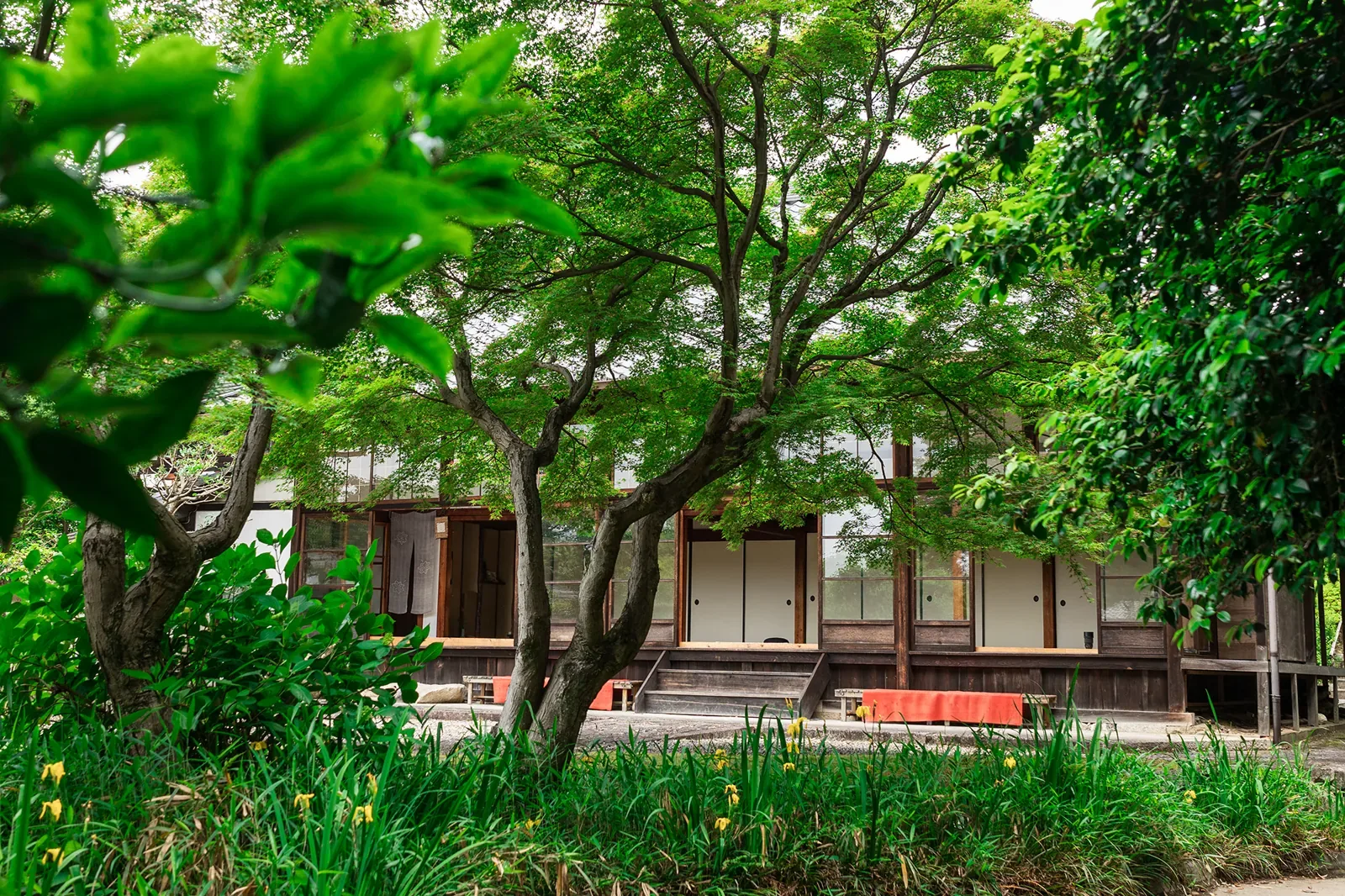 高台寺(月真院/圓徳院) · 官网影像