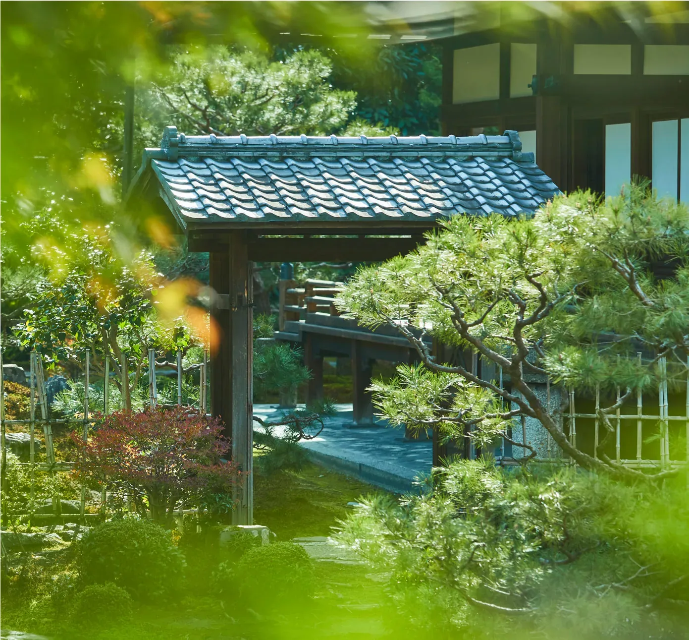 両足院 座禅(建仁寺塔頭) · 官方影像
