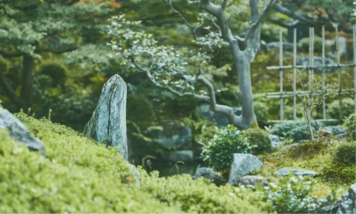 両足院 座禅(建仁寺塔頭) · 官方影像