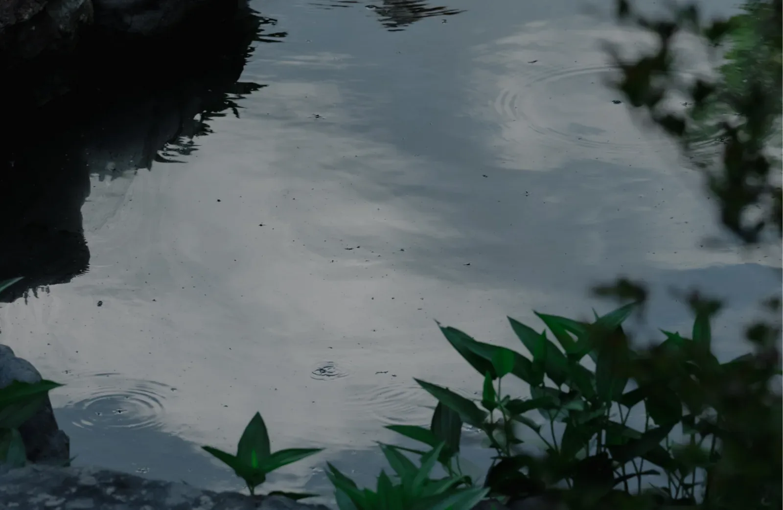両足院 座禅(建仁寺塔頭) · 官方影像