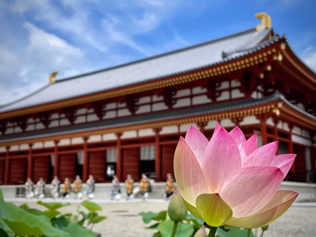 薬師寺東京別院 志野流香道 · 官方影像