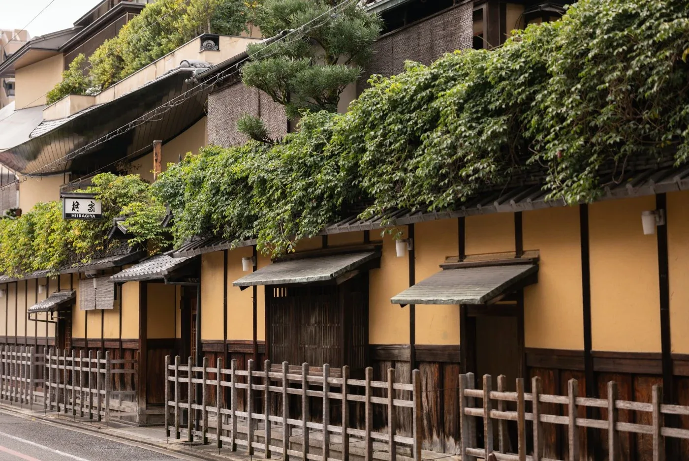 柊家旅館 Hiiragiya