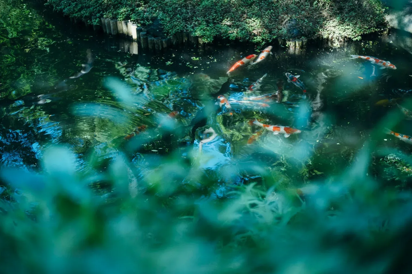 八芳園 Happo-en · 官方影像