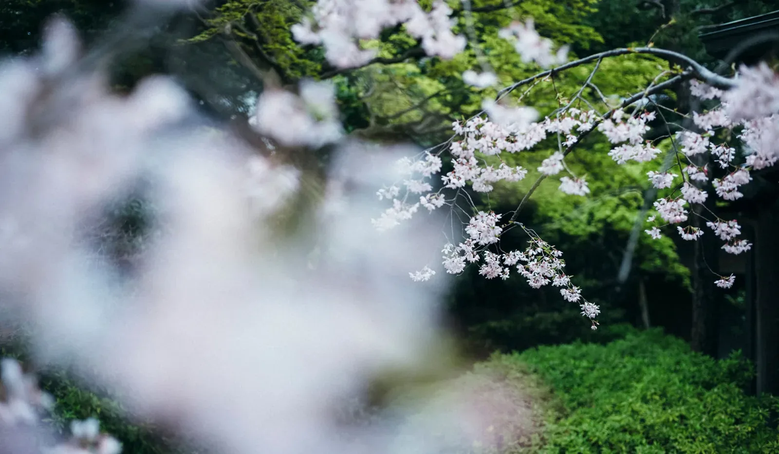 八芳園 Happo-en · 官方影像