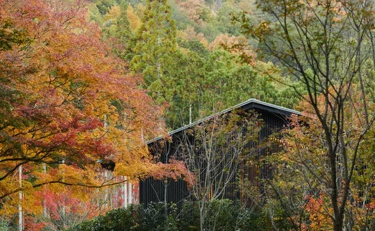 Aman Kyoto(活动)