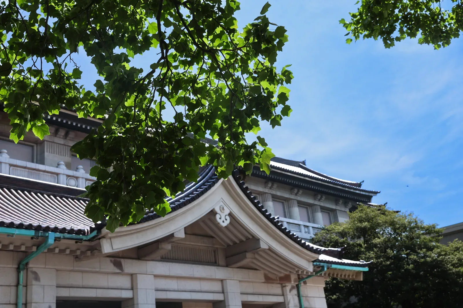 東京国立博物館(表慶館) · 官方影像
