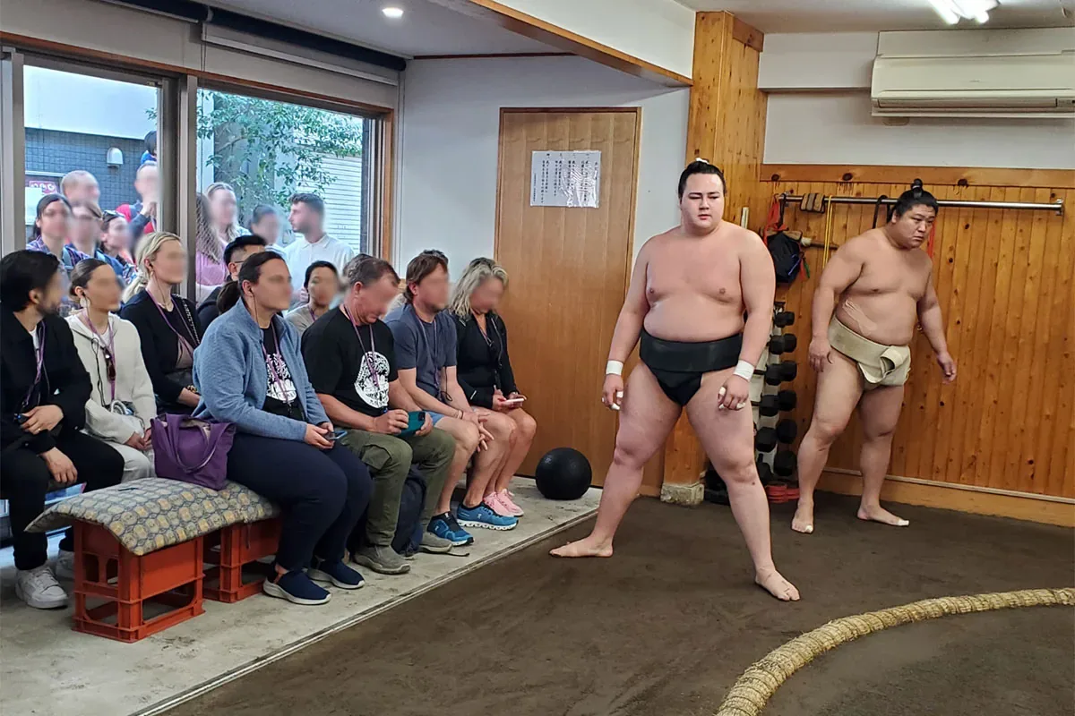 相撲部屋 朝稽古見学 · 公开影像